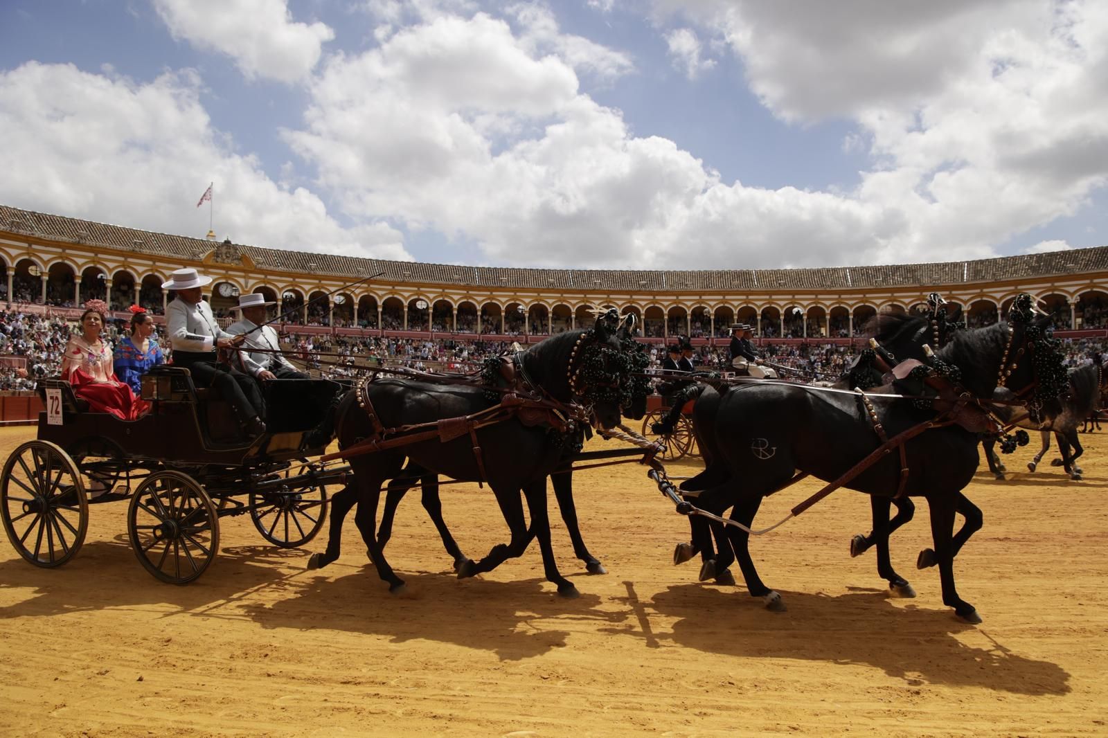 En imágenes, la Exhibición de Enganches en la Maestranza, un museo al aire libre
