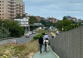 La polémica de un un jinete con su caballo paseando por el carril bici de camino a la Feria de Sevilla