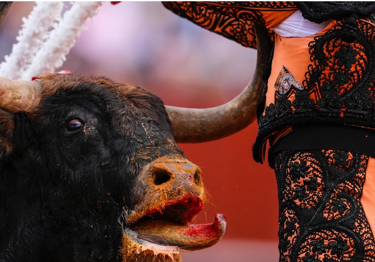 Una estampa de la Estrella en el traje de un banderillero de Sebastián Castella