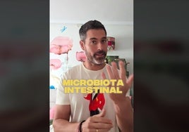 Seis alimentos que el nutricionista Pablo Ojeda recomienda tomar para mejorar nuestro estado de ánimo: «Son claves para tu salud»
