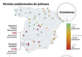 Repunte de alergia en Sevilla: casi 8 de cada 10 consultas en Primaria tienen que ver con algún tipo de alergia