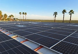 Iberdrola cuenta con 38 comunidades solares en Sevilla para acercar el autoconsumo