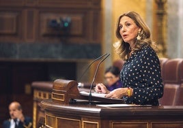 Vox lleva al Congreso la ampliación del aeropuerto de Sevilla