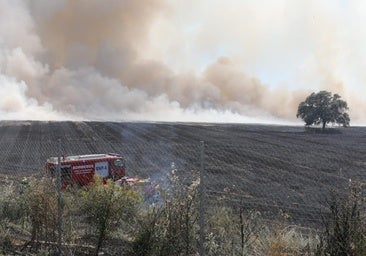 Un incendio provoca una gran columna de humo en Montequinto