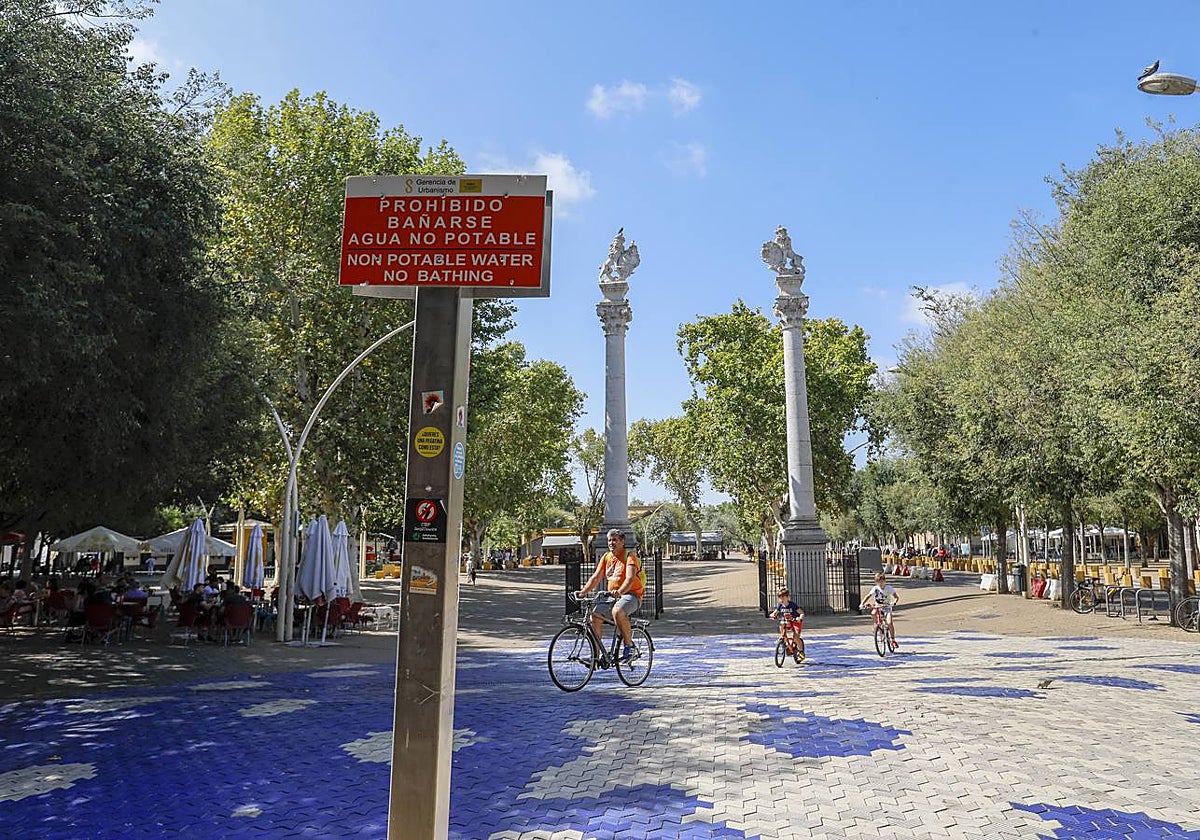 Imagen de la Alameda de Hércules