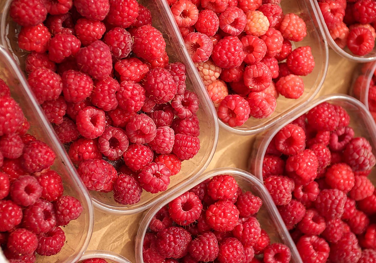 Una de las operaciones ha estado protagonizada por Bollo Fuit, que integra a Cortijo Cuevas, dedicada a la fruta cortada