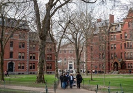 La Universidad de Sevilla tilda de «inadmisible» la prohibición de matricular a estudiantes extranjeros en Harvard
