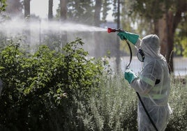 La lucha contra el virus del Nilo obliga a fumigar casi 100.000 metros cuadrados en Sevilla