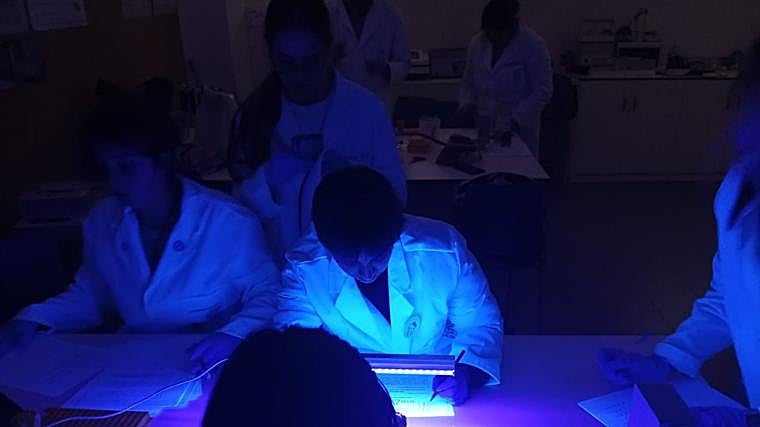 Arduán Formación, la referencia en Formación Profesional Sanitaria de Andalucía