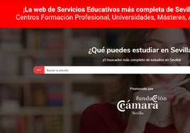 ¿Quieres conocer todo lo que puedes estudiar en Sevilla? ¡Ya puedes hacerlo desde una sola web!