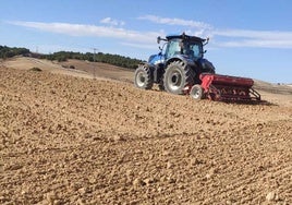 El cereal andaluz, atrapado entre costes históricos y precios ruinosos
