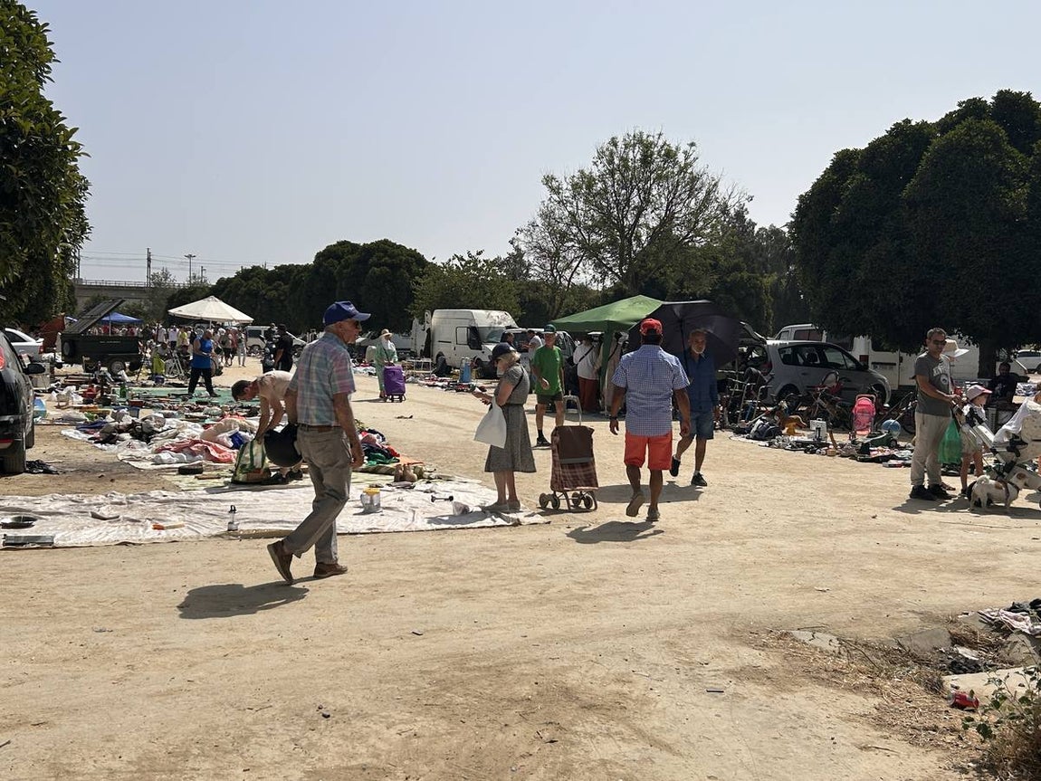 El mercadillo de los domingos en Su Eminencia es un ejemplo de venta ilegal y sin control en la zona