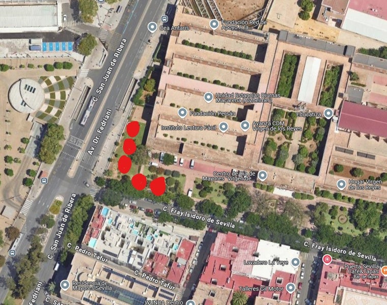 Recreación de dónde se colocarían los cinco árboles en caso de ser trasladados frente al Hogar Virgen de los Reyes