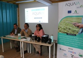 AquaIA: Inteligencia Artificial para el riego agrícola sin sensores físicos
