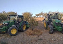 La cosecha de almendra cae un 4,7%, pero Andalucía sigue liderando en España