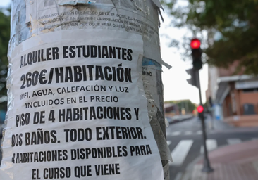 Estos son los barrios de Sevilla más baratos (y más caros) para alquilar un piso como estudiante
