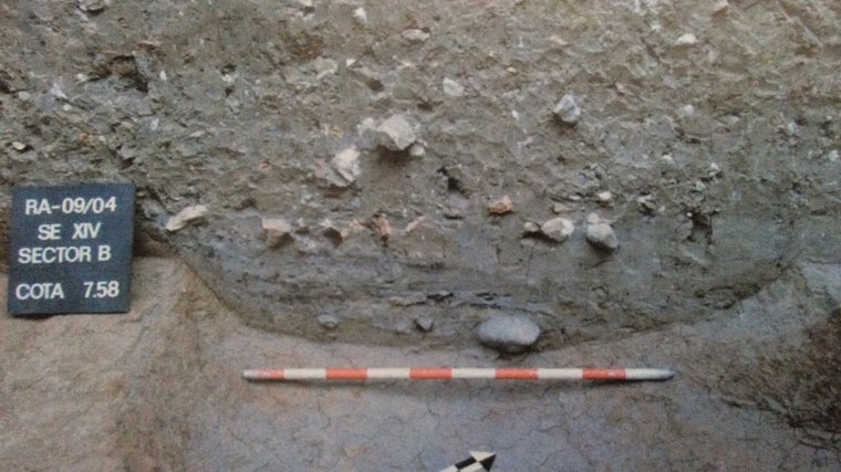 Imagen de un fondo de cocina de época fenicia encontrado bajo el Patio de Banderas de Sevilla. Se hallaron restos biológicos de cañaíllas, huesos de cabra y aceite de oliva. Imagen: Sevilla Arqueológica (Beltrán Fortes)