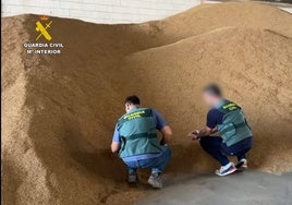 Desarticulan un grupo criminal que robó 160 toneladas de arroz en Sevilla