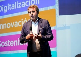 Xavier Pascual (Sener): «El puerto de Sevilla todavía puede recibir buques más grandes sin el dragado»