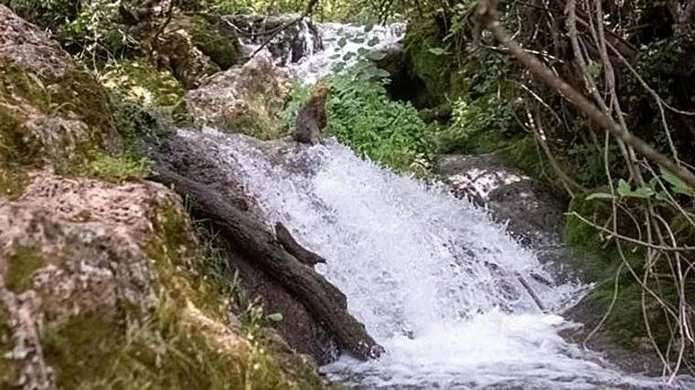 Área del Martinete, en la Sierra Norte de Sevilla