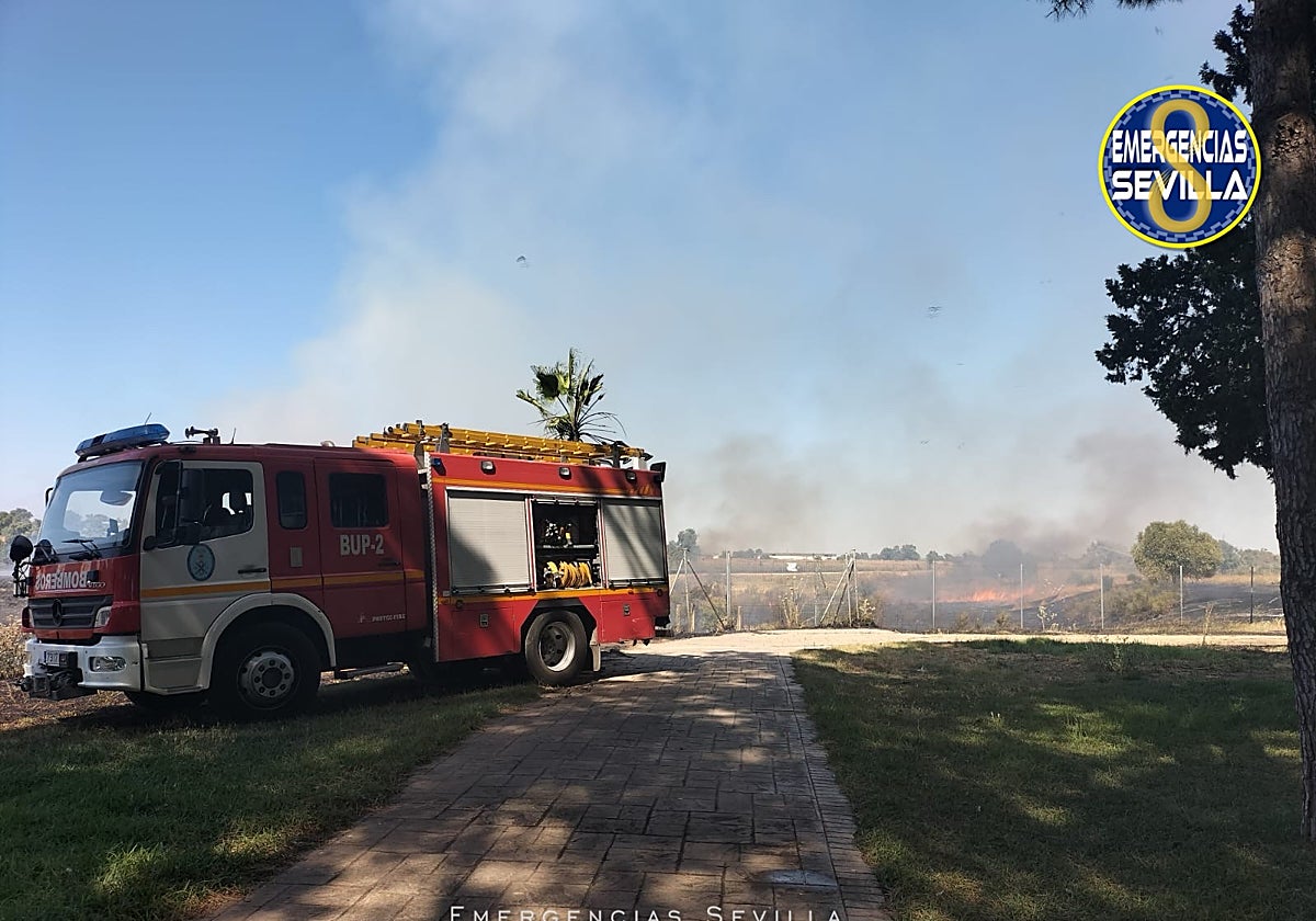 El fuego registrado en las inmediaciones de Guadalpark