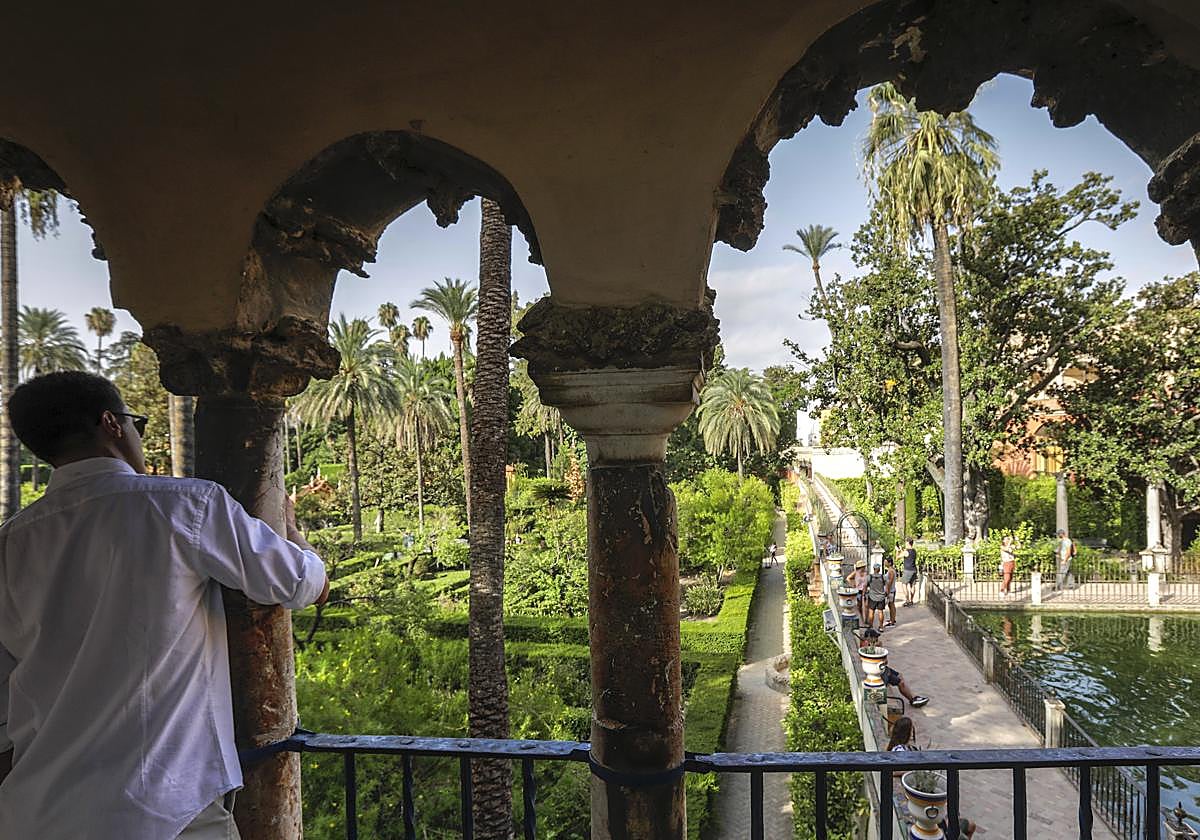 Un turista visitando el Real Alcázar de Sevilla
