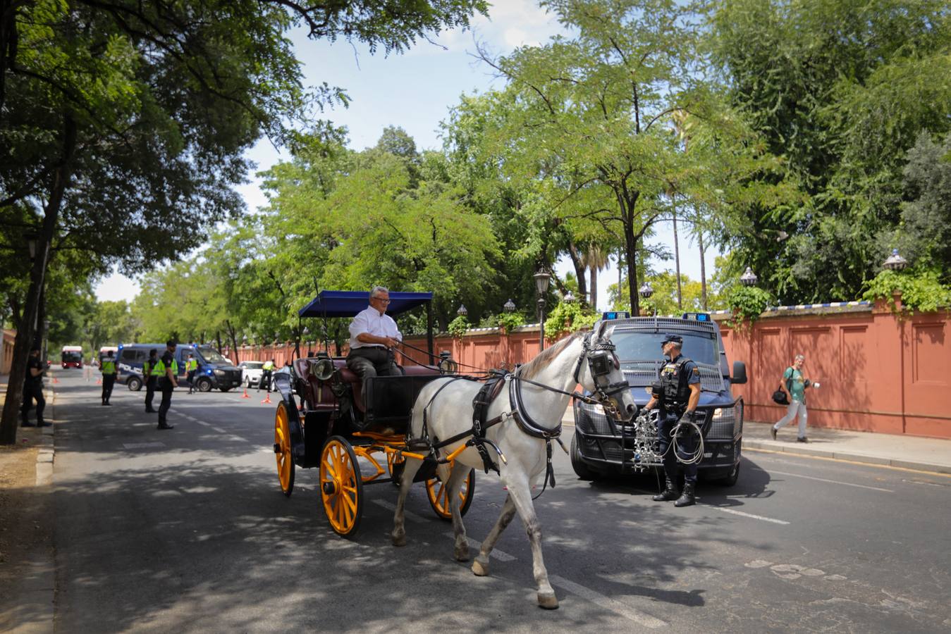 Miembros de la Policía Local y Nacional así como equipos de la Guardia Civil han tomado Sevilla para la Cumbre de la ONU