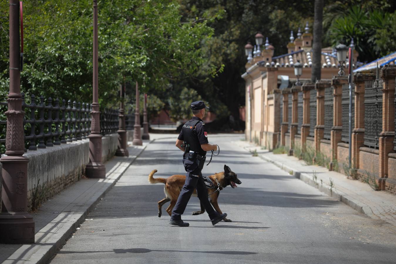 Miembros de la Policía Local y Nacional así como equipos de la Guardia Civil han tomado Sevilla para la Cumbre de la ONU