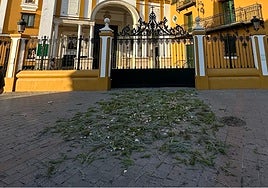 El exterior de la basílica de la Macarena se cubre de flores y romeros ante la ausencia de la Virgen