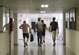 La Pablo de Olavide será la primera universidad pública de Andalucía en ofertar grados con mención dual