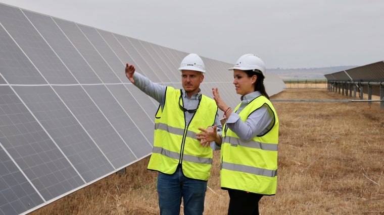 Dos trabajadores en el parque solar ubicado en Carmona (Sevilla)