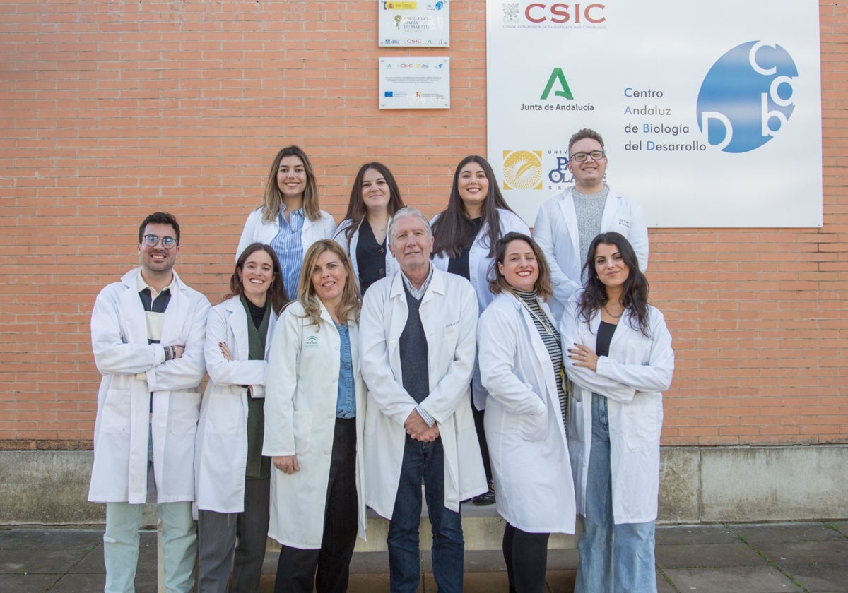 Equipo de investigadores del Centro Andaluz de Biología del Desarrollo de la UPO