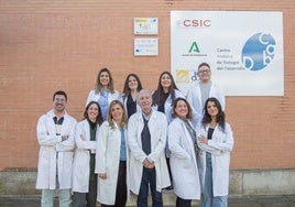 Investigadores de la UPO logran un avance clave para el tratamiento de una enfermedad sin cura