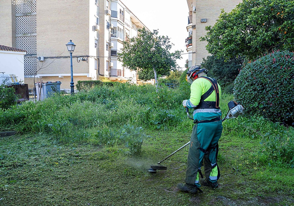 Mairena del Aljarafe da un primer paso para solucionar los problemas de jardinería y amplía el servicio por 913.000 euros