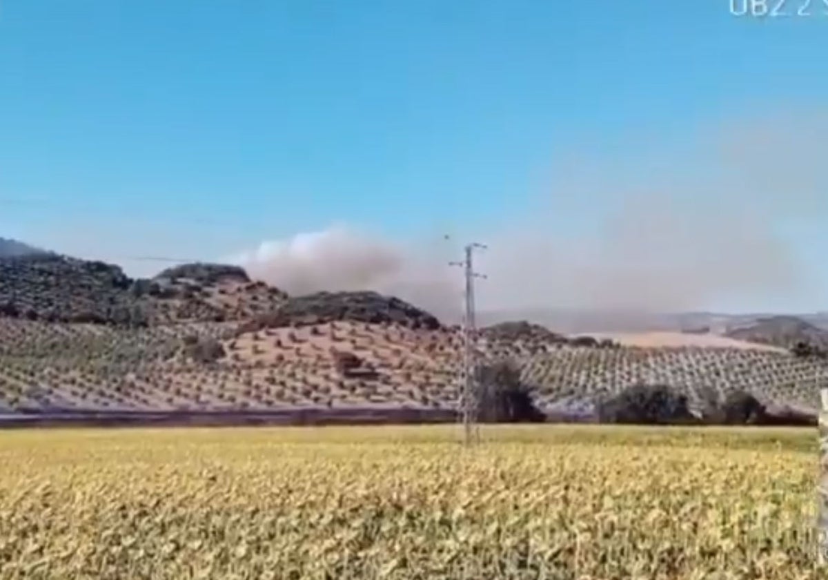Medios aéreos y terrestres trabajan para sofocar un incendio declarado en Morón de la Frontera