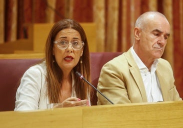 La concejal socialista Sonia Gaya pierde las formas en el Pleno de Sevilla: «Que se joda, que se joda»