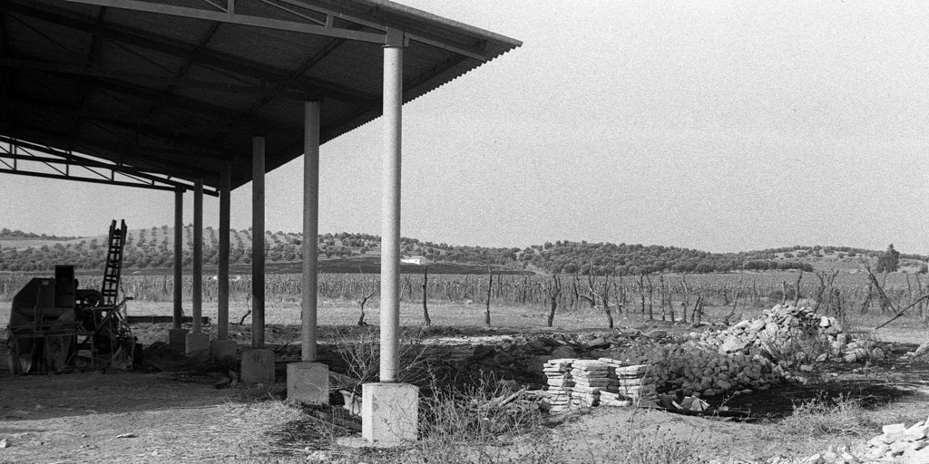 Cincuenta años de Los Galindos: crimen sin castigo