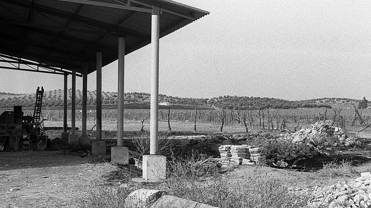 En este cortijo de Paradas, apareció el cadáver de Manuel Zapata, el capataz y principal sospechoso de la muerte de las otras cuatro personas que fueron halladas en la misma finca. Zapata, que fue encontrado con la cabeza destrozada a golpes, murió el mismo día, que los otros cuatro trabajadores y, con él, las claves de unos de los crímenes que más conmocionaron a la sociedad española