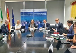 Consejo rector de la agencia Andalucía Trade que se reunió ayer para aprobar nuevos incentivos