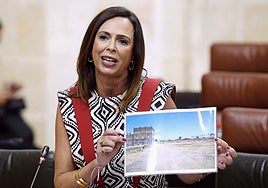 La consejera de Fomento compara las 6.000 VPO que lleva Juanma Moreno en Sevilla con las mil del PSOE: «Lo que debería hacer la señora Montero es dejar de utilizar la vivienda como arma arrojadiza»