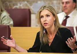 La dos caras de la oposición en Sevilla: de la estabilidad de Vox a un PSOE más que incómodo