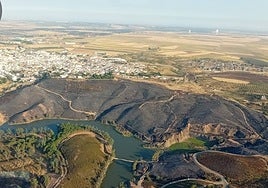 Controlados los incendios de Aznalcóllar y Constantina