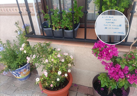 Le roba las plantas a su vecina y esta le responde con este contundente mensaje: «Que te sirvan para la tumba»