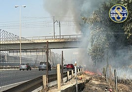 Dos incendios de pastos obliga a la Policía Local a desviar el tráfico en la SE-30 y Sevilla Este
