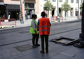 Sanz aboga por arbolado de gran porte en la avenida de la Constitución de Sevilla ante los problemas de los toldos