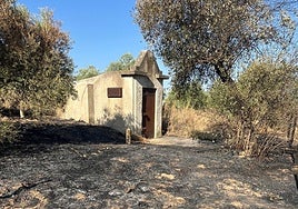 El incendio del dolmen de Matarrubilla en Valencina llegó hasta la puerta del enclave