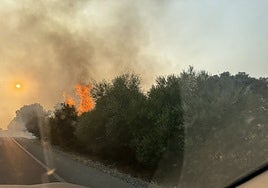 Estabilizado el incendio declarado en Sanlúcar la Mayor junto al Corredor Verde del Guadiamar