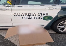 Cajetillas de tabaco de contrabando decomisadas en la autovía de Coria