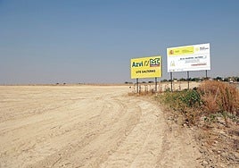 El yacimiento arqueológico descubierto en las obras de la SE-40 es «nuevo» y Valencina pide que sea excavado