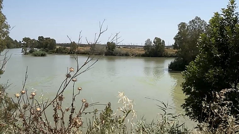 El antiguo muelle del Portal, Río Guadalete